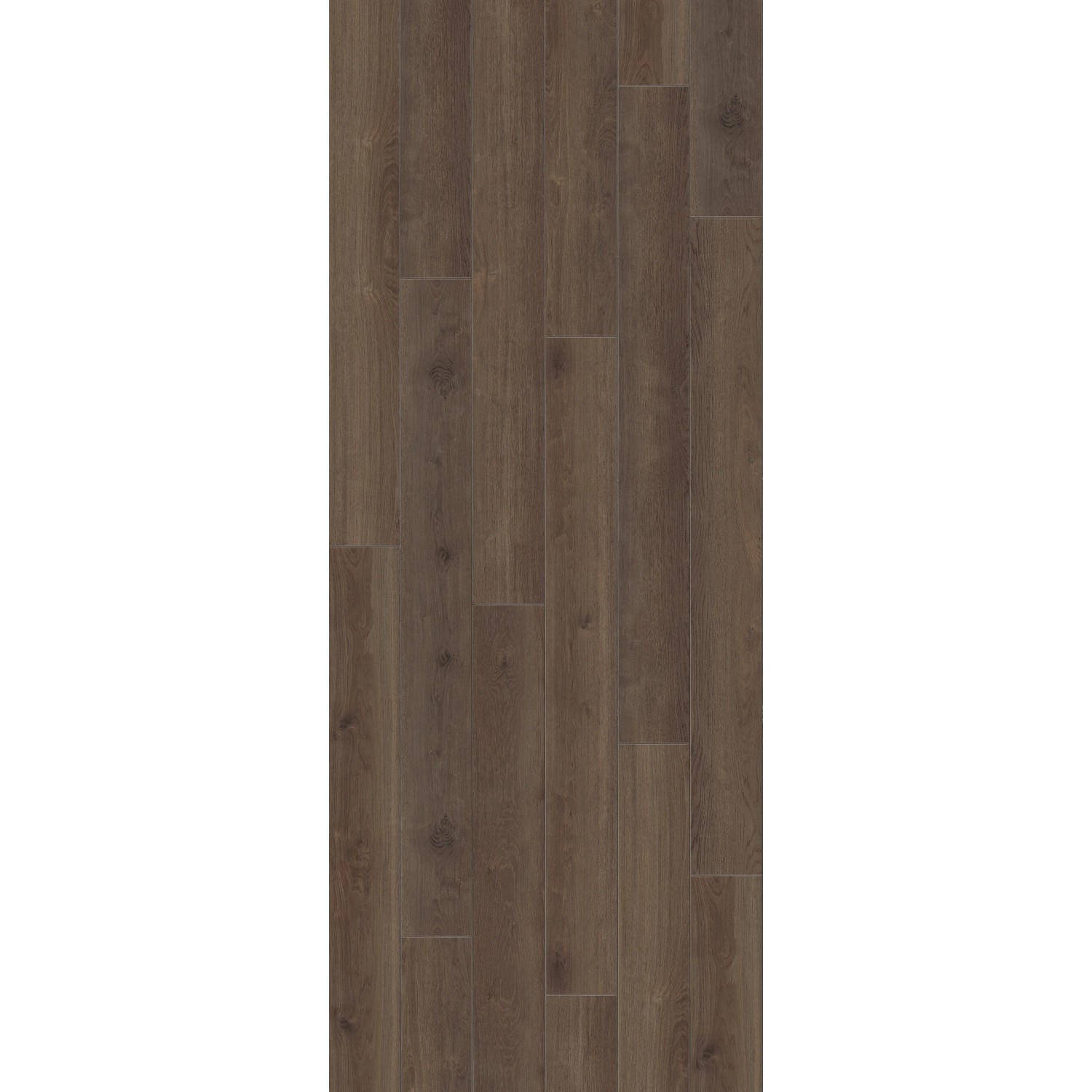 Parador Trendtime 6 Laminat, 9mm, wasserfest, in dunkler Holzoptik.