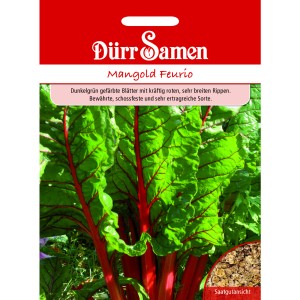Dürr Samen Mangold Feurio: Saatgut mit dunkelgrünen Blättern und roten Rippen.