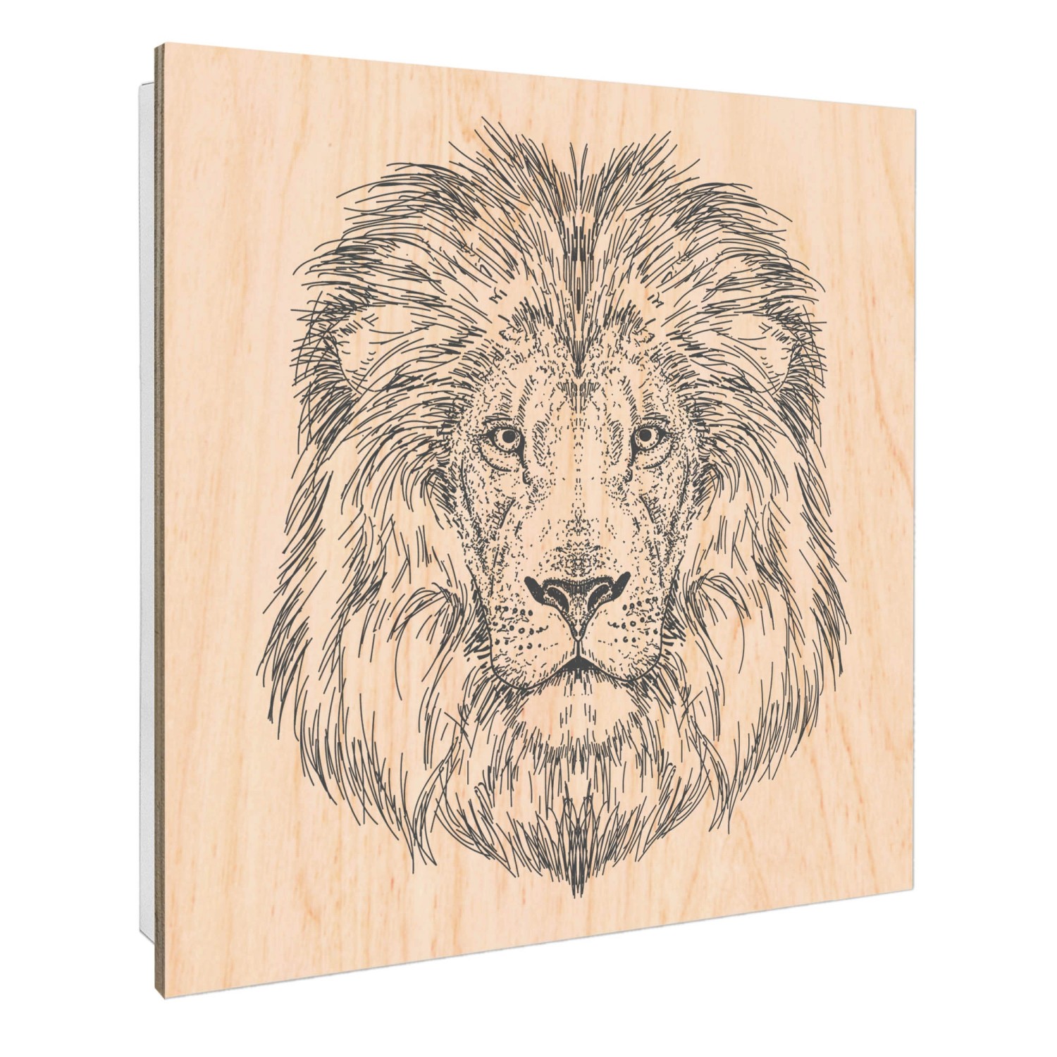 Banjado Schlüsselkasten mit Holzfront 30x30cm Weiß Scharnier Links 50 Haken günstig online kaufen