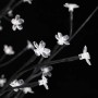 Detailaufnahme: LED-Kirschblütenbaum, warmweiß, 300 cm hoch, mit schwarzen Ästen und leuchtenden Blüten.