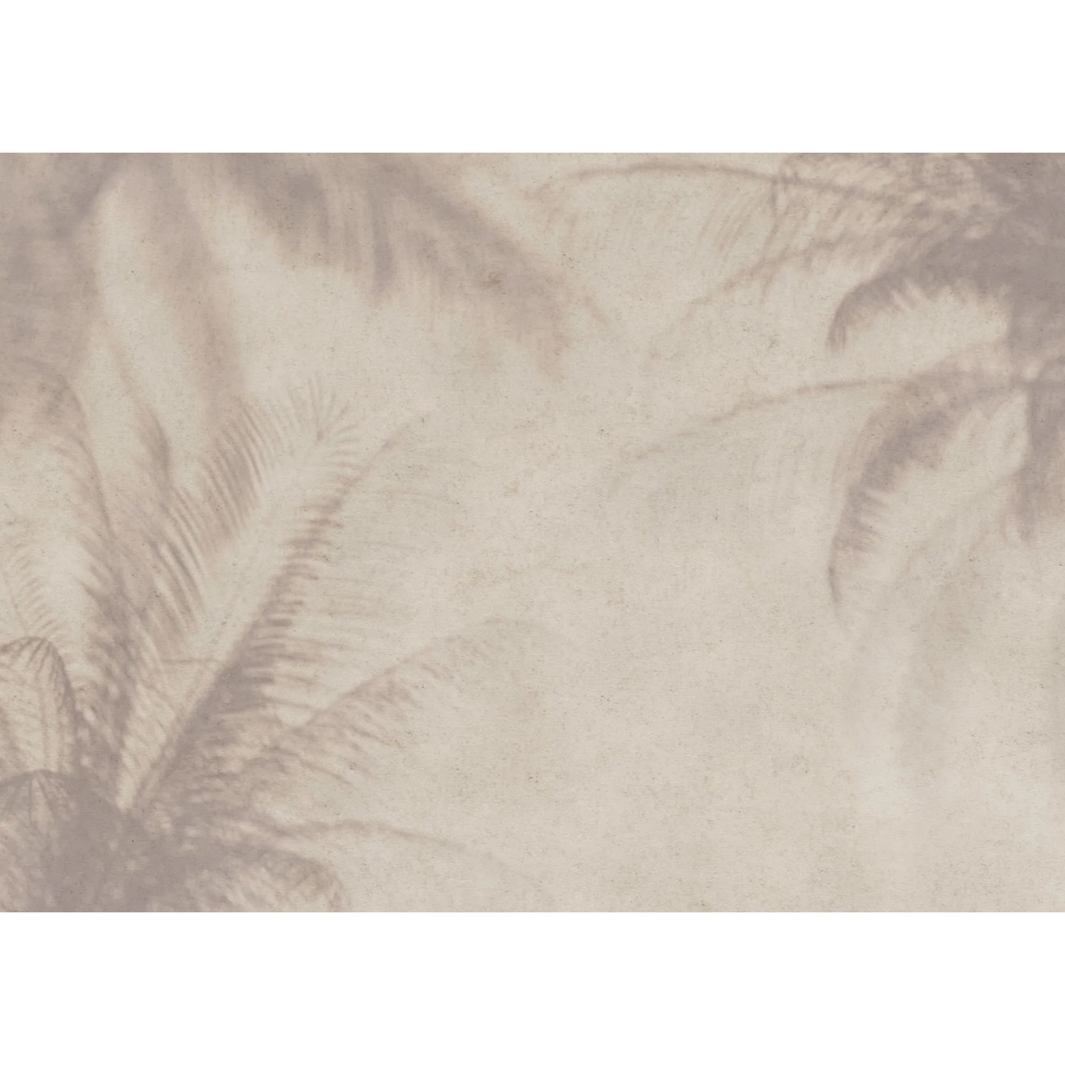 Komar Vliestapete Brise 350 cm x 250 cm günstig online kaufen