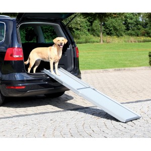 Graue Trixie Teleskop-Hunderampe Petwalk am Auto mit Hund.