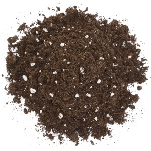 Floragard Spezialerde für fleischfressende Pflanzen, geeignet für Sonnentau und Venusfliegenfallen.