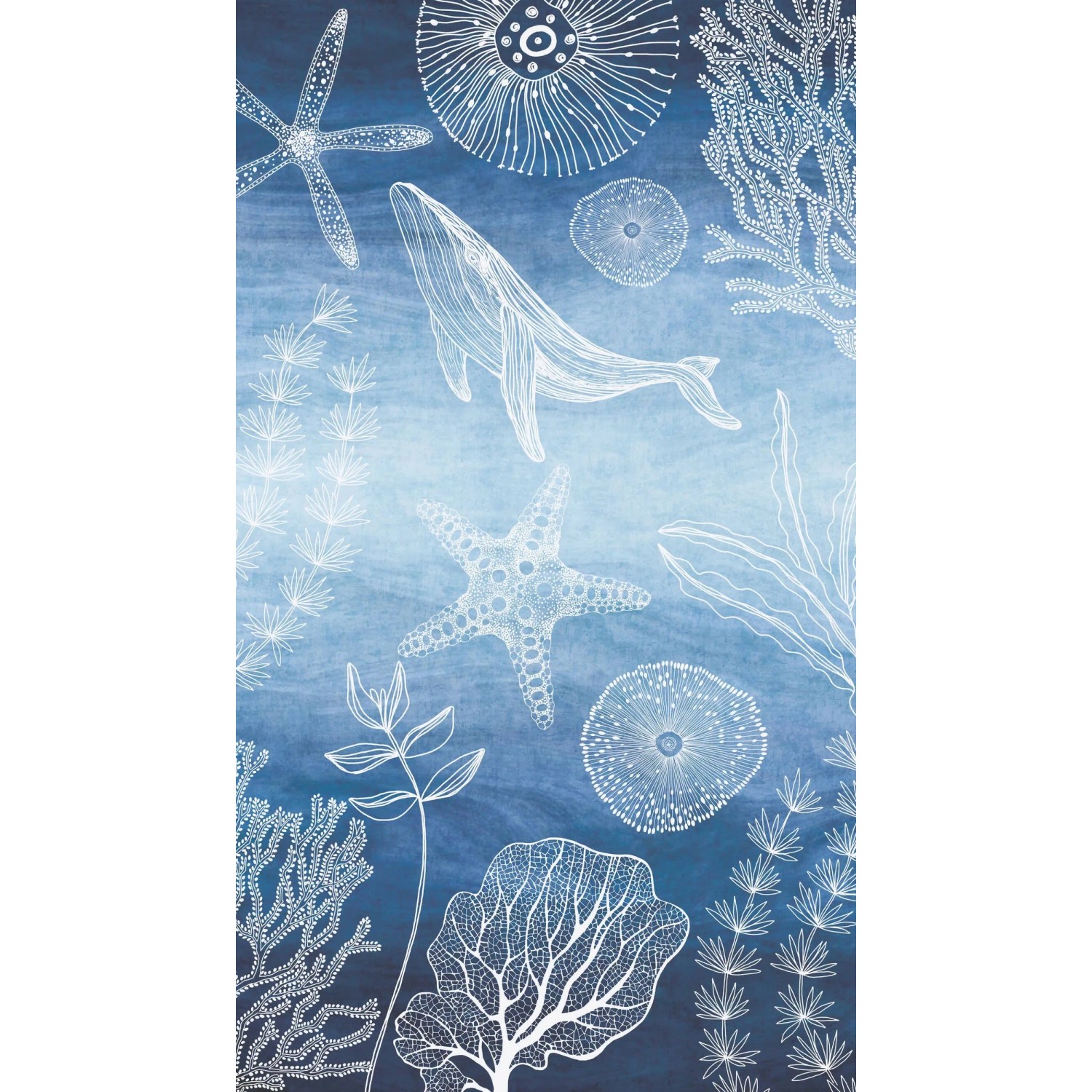 PROFHOME 770601-GU Fototapete Kindertapete Blau Saphir-Blau Weiß 1,59 m x 2,8 m
