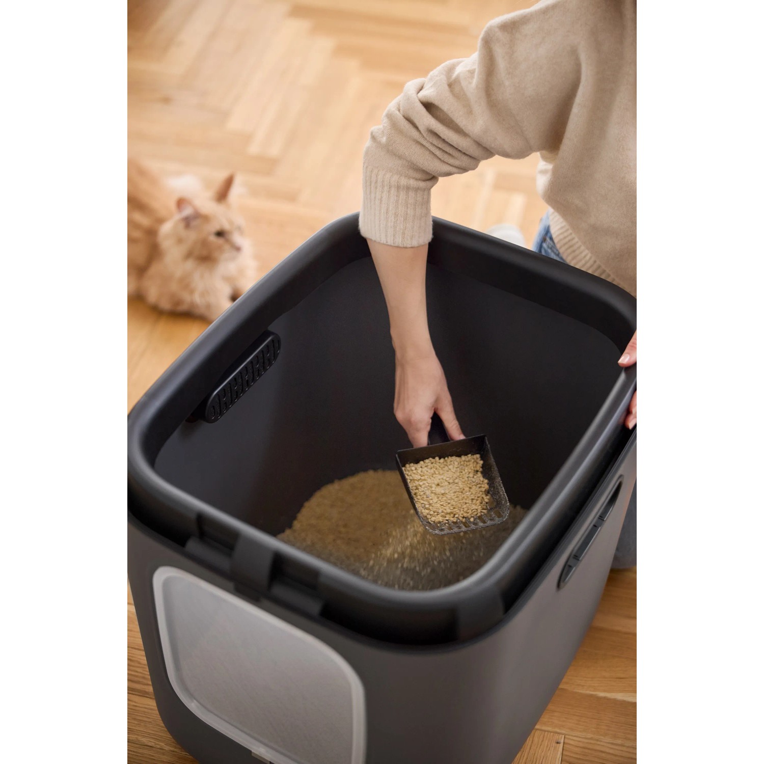 Anthrazitfarbene Rotho Katzentoilette Biala XL mit Schaufel und Katzenstreu.