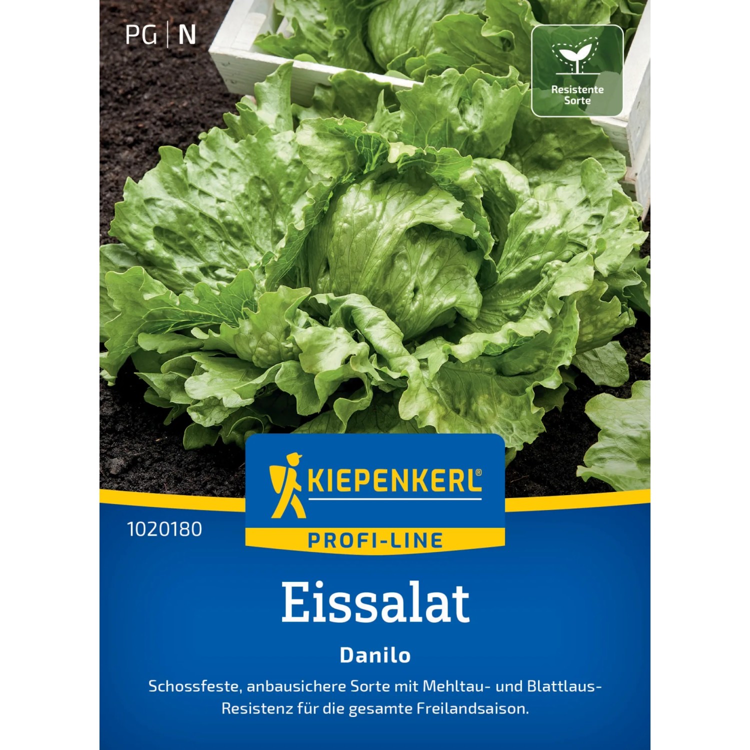 Kiepenkerl Eissalat "Danilo"