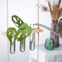 Relaxdays Pflanzen Vermehrungsstation Eichenholz Glas Natur Hängend 86 cm x 20 cm x 4,5 cm 360 g_3