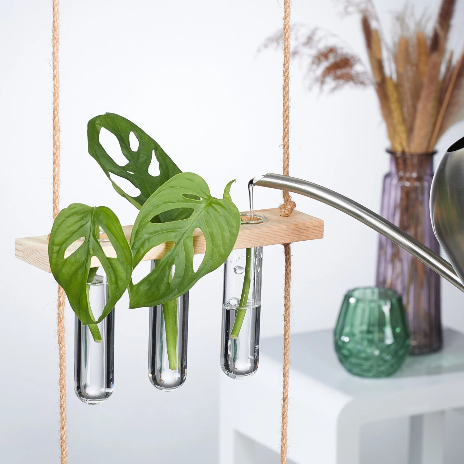 Relaxdays Pflanzen Vermehrungsstation Eichenholz Glas Natur Hängend 86 cm x 20 cm x 4,5 cm 360 g_3