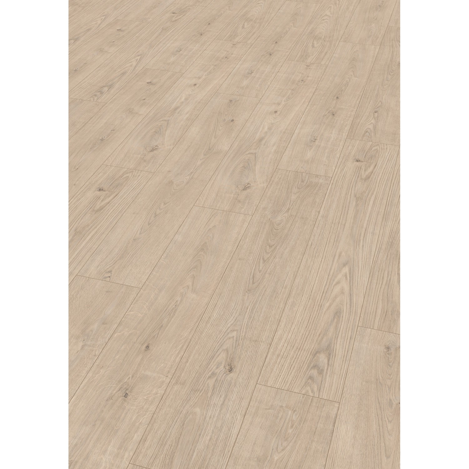 Egger Laminatboden EL1031 NatureSense Berdal Eiche Hell günstig online kaufen