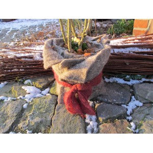 Eingepflanzte Pflanze mit Videx Garden Juteband Rot umwickelt als Winterschutz.