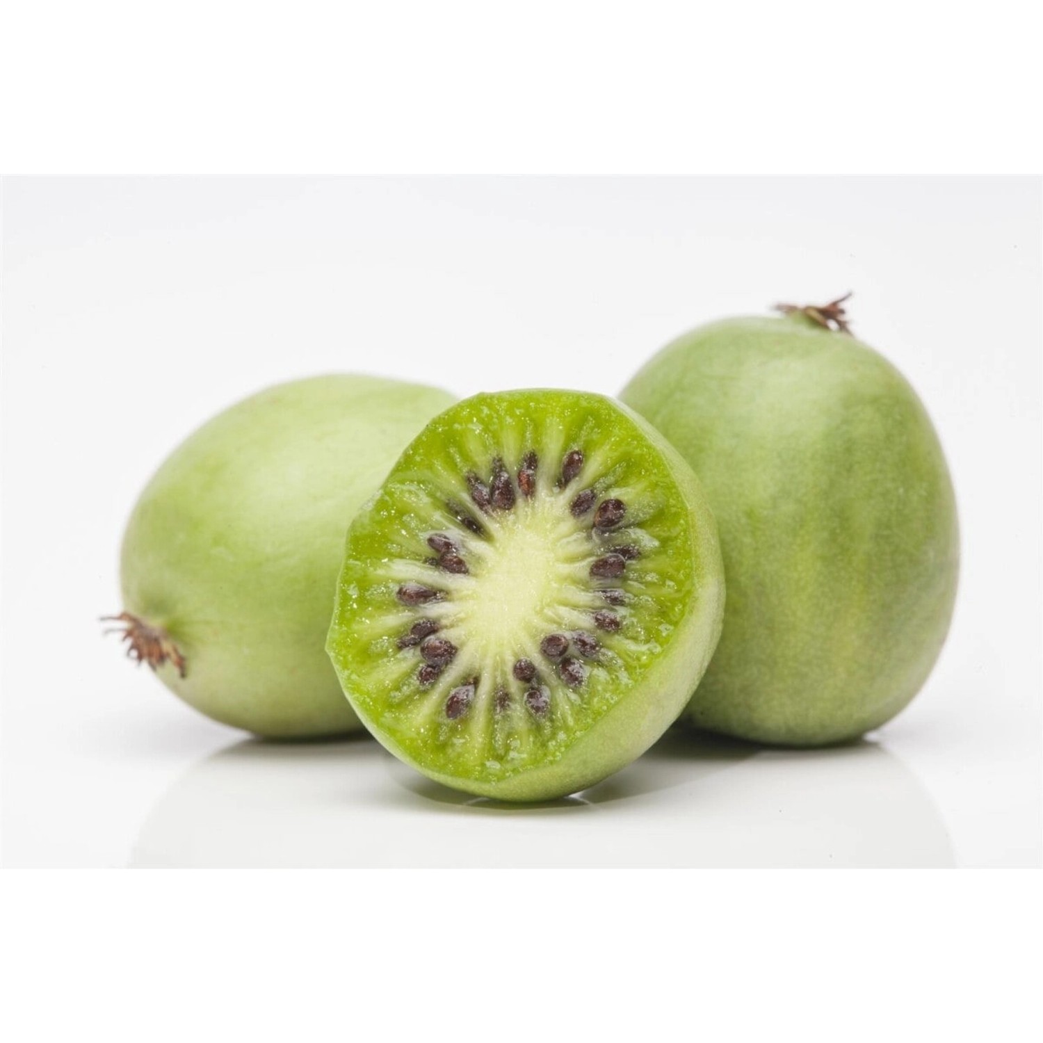 Actinidia Arguta Kiwibeere 100–150 cm Winterhart günstig online kaufen