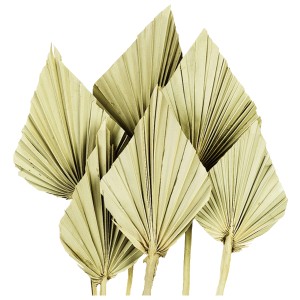 Deko-Pflanze Palm Spear in Natur, ideal für Kränze und Gestecke.