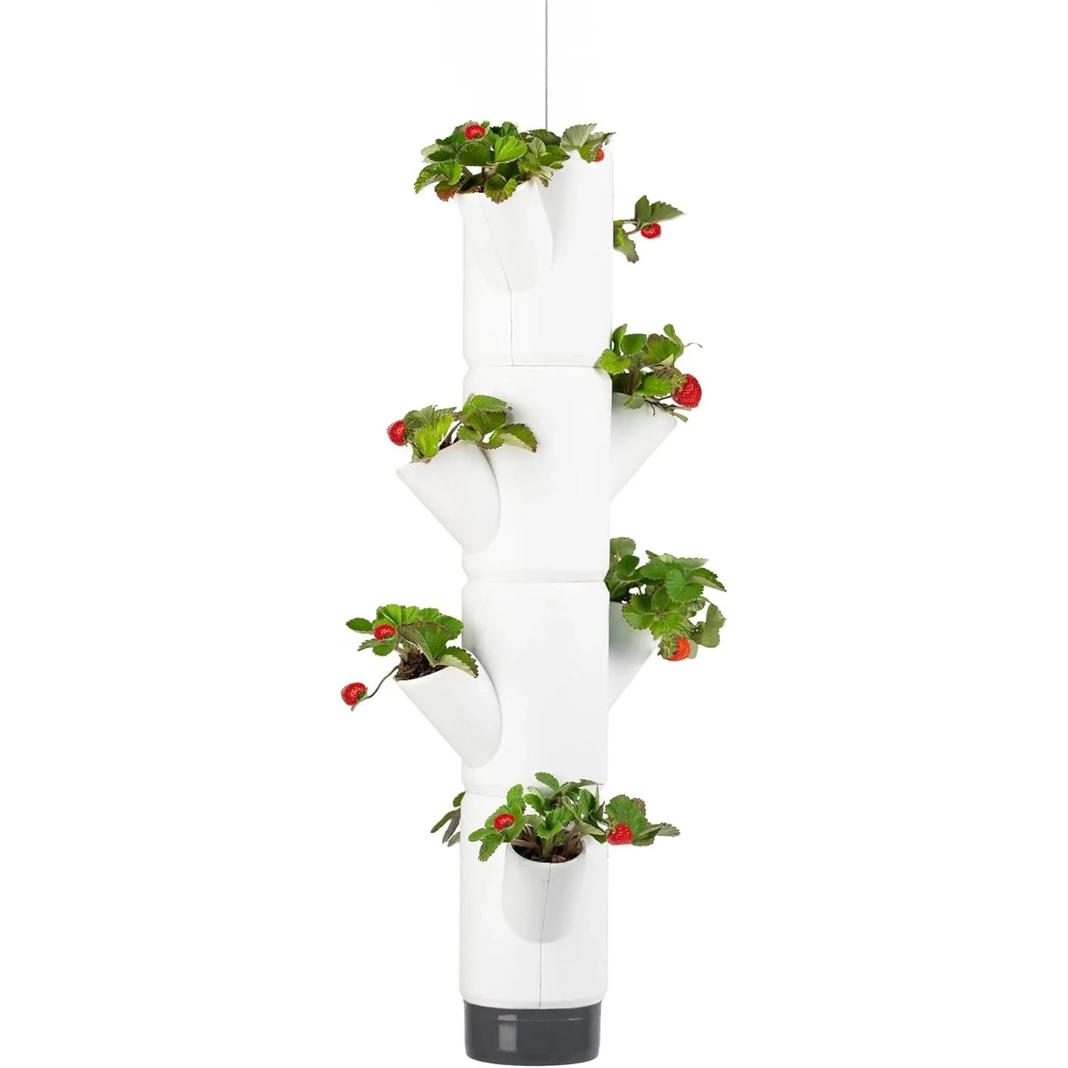 Gusta Garden Erdbeerbaum Sissi Strawberry Hochbeet System Hanging Weiß