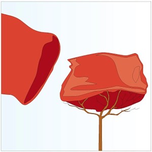 Roter Jutesack 80x60 cm als Winterschutz für Pflanzen und Bäume.