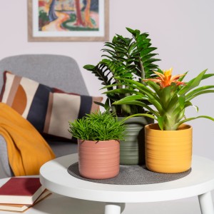 Scheurich Übertopf Cottage Curcuma, 12 cm, auf Tisch mit Pflanzen.