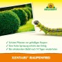 Neudorff Xentari RaupenFrei 6 g_5
