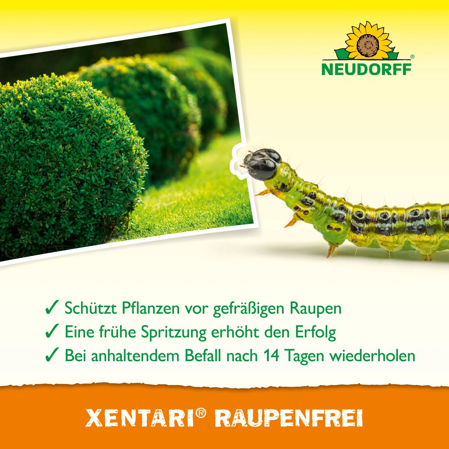 Neudorff Xentari RaupenFrei 6 g_5