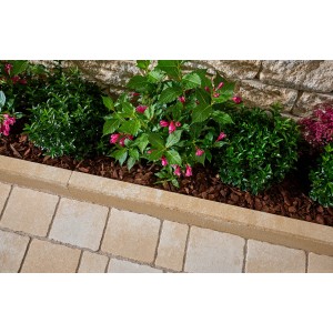 Kann Randstein Vero Sandsteingelb-Nuanciert 100 cm x 25 cm x 6 cm