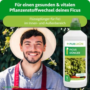 Purgrün Ficus-Dünger 1 Liter