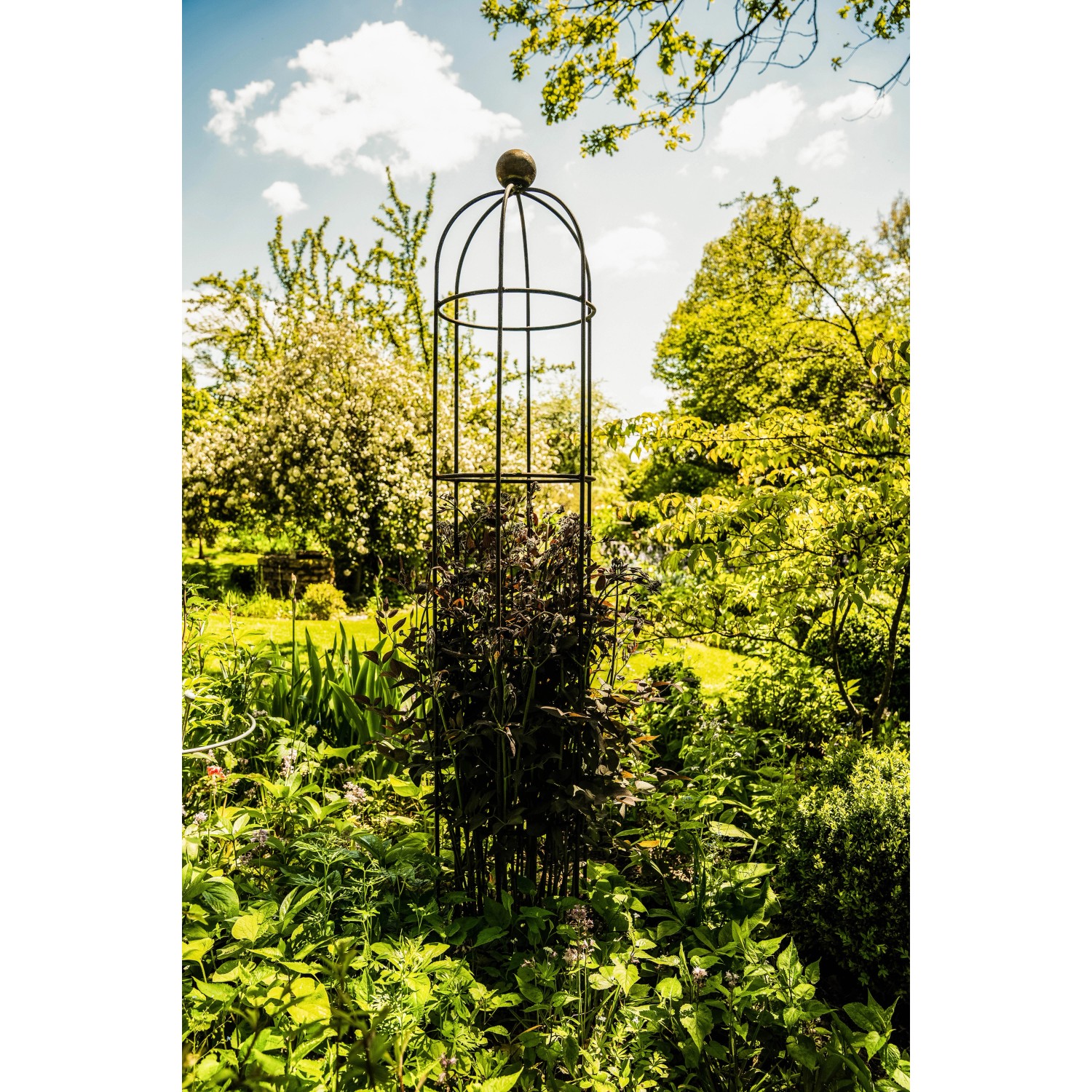Eleo Obelisk Messina klein, pulverbeschichtet, DB703, Rankhilfe im Gartenbeet.