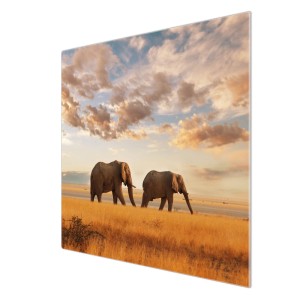 Banjado Herdabdeckplatte Glas mit Elefanten Motiv, 60x52cm. Schneidebrett und Ceranfeld Abdeckung.