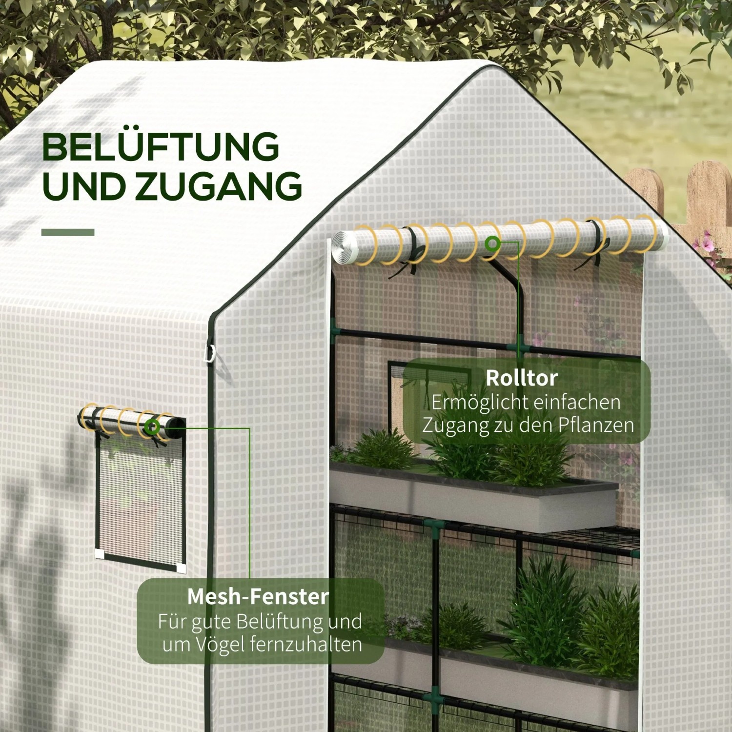 Weiße Gewächshausfolie mit aufrollbarer Tür und Fenster für gute Belüftung.