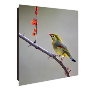 Schwarzer Banjado Schlüsselkasten mit Glasfront, Herbstvogel-Motiv, 50 Haken.