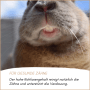 Supravit Nagerfutter und Kleintierfutter_4