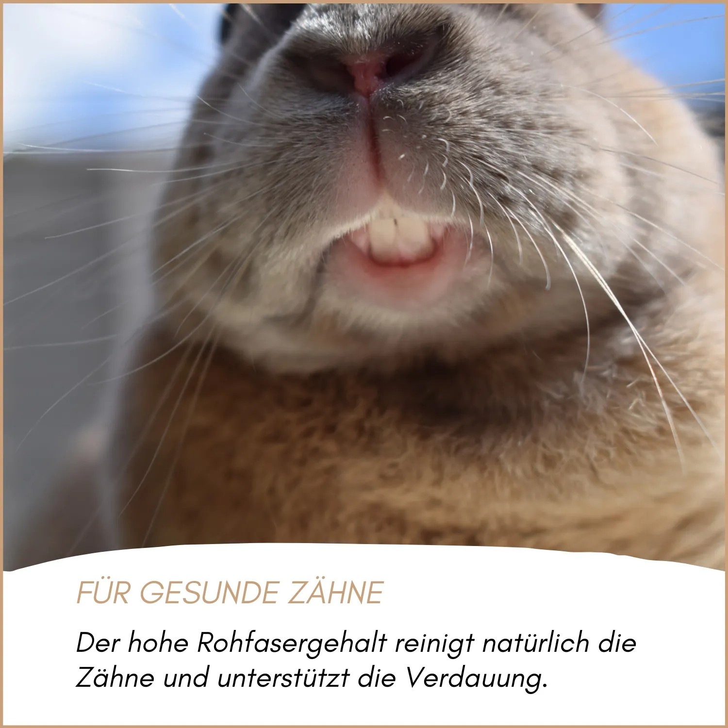 Supravit Nagerfutter und Kleintierfutter_4