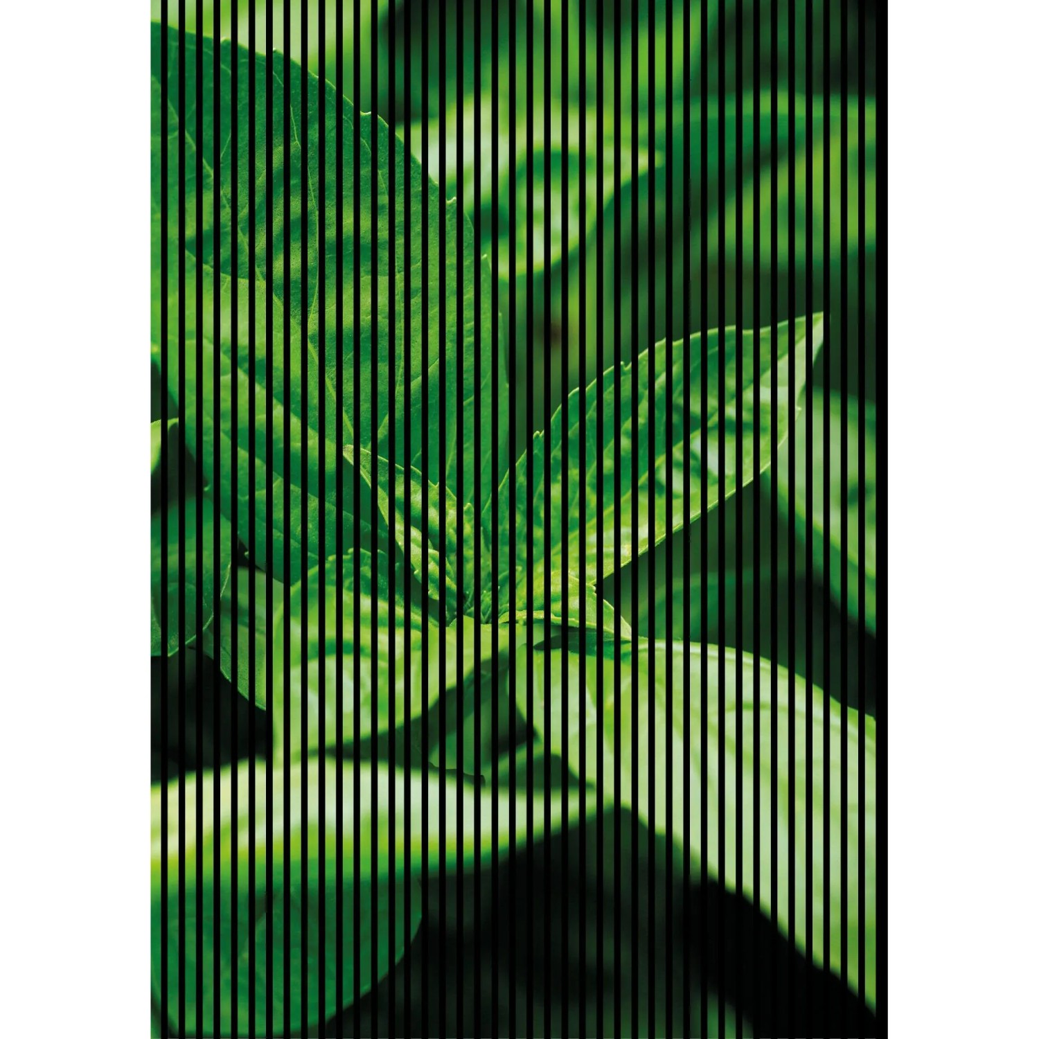 FN Acustico Akustikplatte Basilikum 1 PET u. MDF Foliert 1.693 x 19 x 2.400 mm