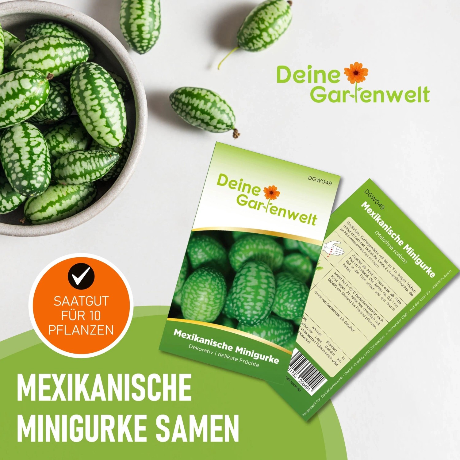 Samenpaket Mexikanische Minigurke. Schale mit kleinen, grün-weiß gestreiften Früchten. Saatgut für 10 Pflanzen.