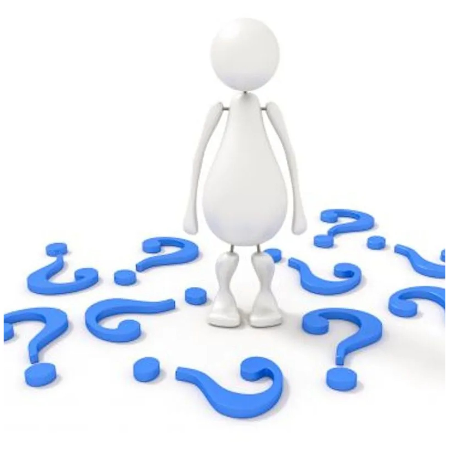 Lebensbaum Malonyana Holub 40-50cm - Thuja occidentalis