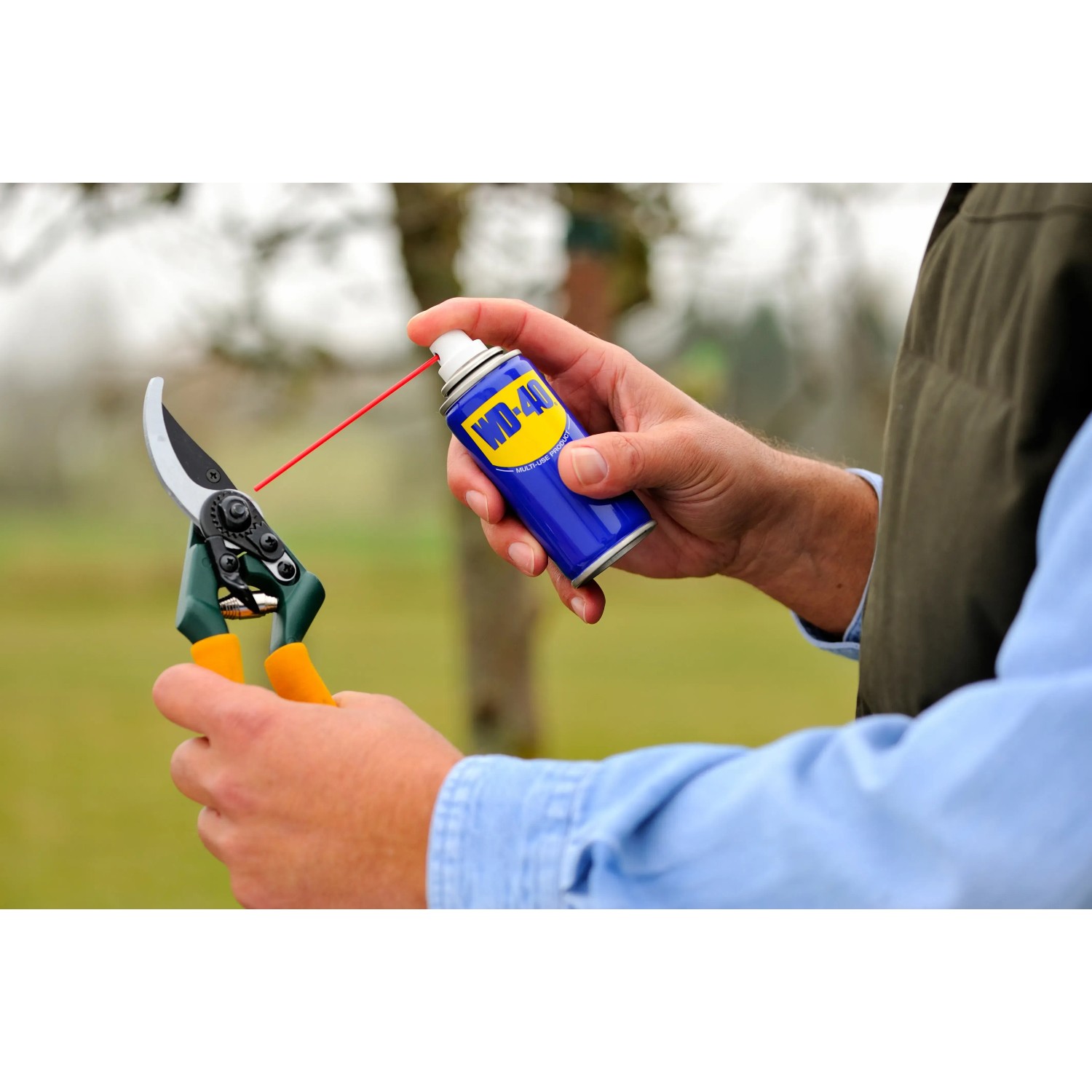 WD40 Multifunktionsöl zur Wartung einer Gartenschere. Rostlöser und Schmiermittel.