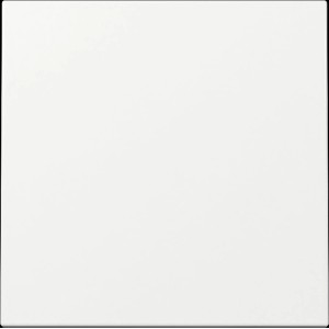 Gira System 55 Zentralplatte in Reinweiß für Schalter und Taster.