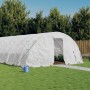 vidaXL Gewächshaus mit Stahlrahmen Weiß 100 m² 20x5x2,3 m 3188102_2