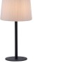 Paul Neuhaus Falter LED-Tischleuchte, anthrazit, 60cm hoch, für Innen- und Außenbereich.
