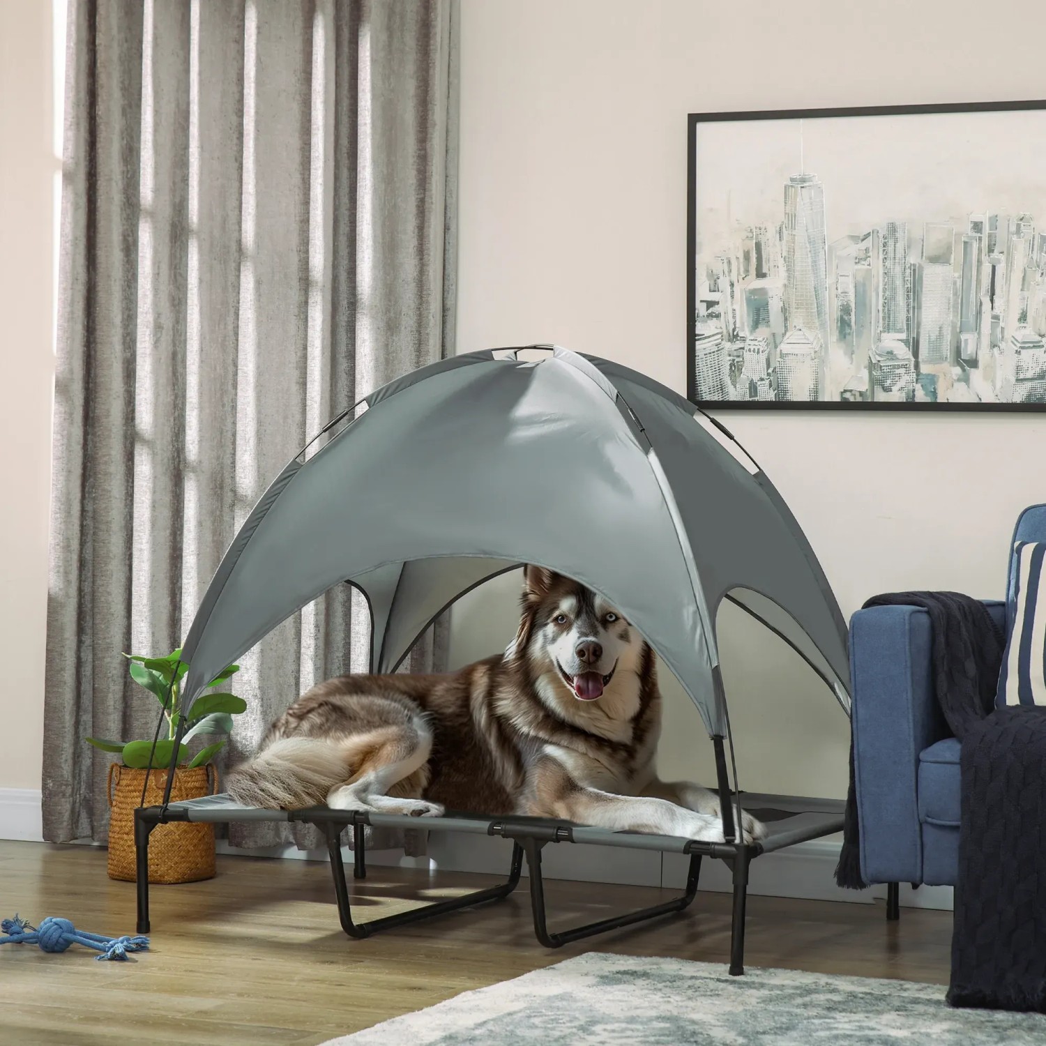 PawHut Hundebett mit Baldachin: Erhöhtes, graues Hundesofa mit Hund im Wohnzimmer.