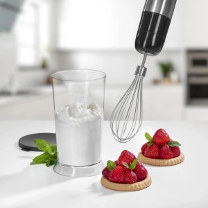 Westfalia Stabmixer-Set mit Rührbesen und Becher für die Zubereitung von Speisen.