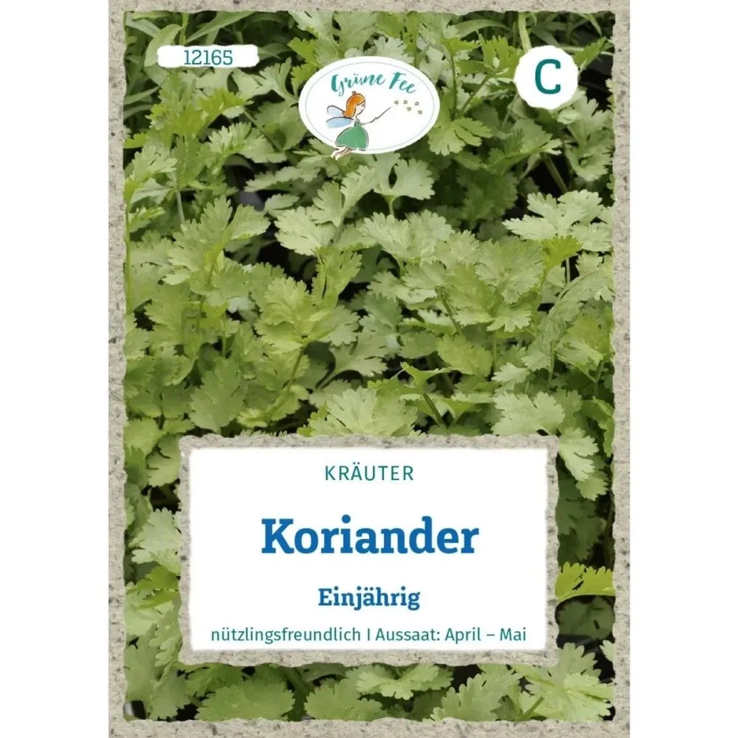 Grüne Fee Koriander Einjährig Saatgut