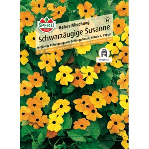 Samenpackung Schwarzäugige Susanne Orange mit Auge, eine Schlingpflanze mit orangen und gelben Blüten.