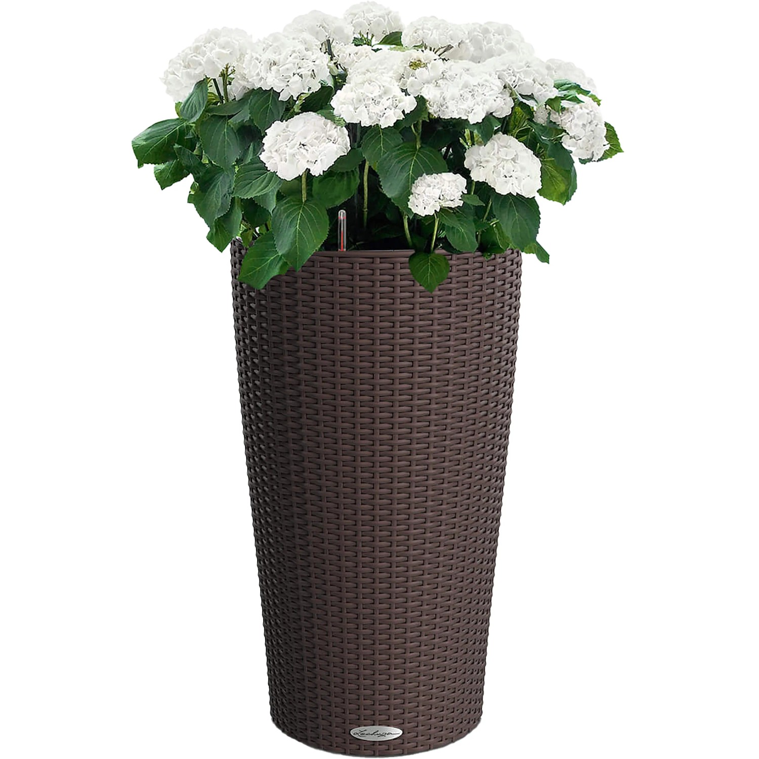 Lechuza Pflanzsäule Cilindro Cottage Mokka mit weißen Hortensien, Ø 32 cm.