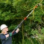Frau schneidet Äste mit Bosch Akku-Baumschere Advanced Prune 18V-45 inkl. Verlängerung.