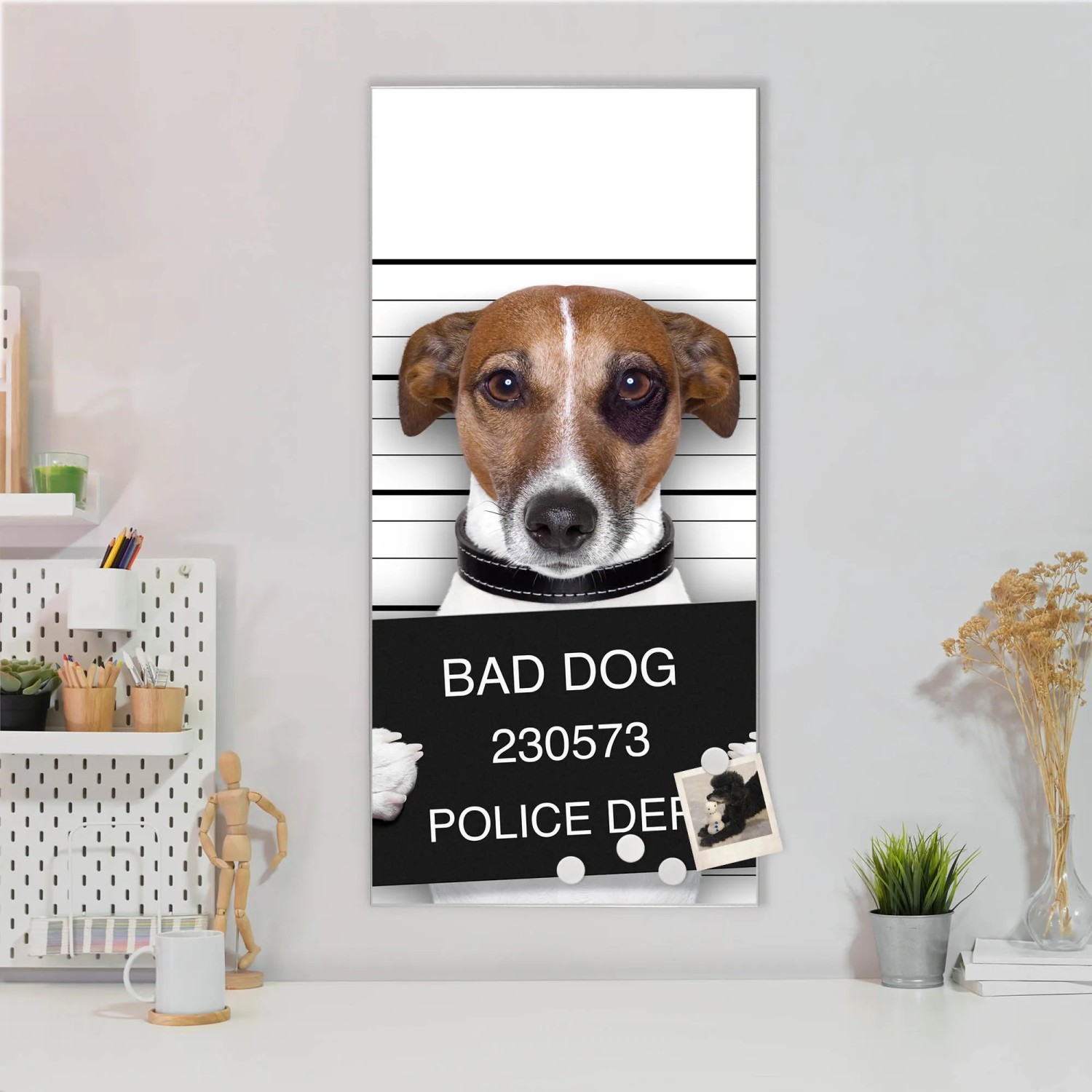 Banjado Magnettafel mit Jack Russel Motiv als "Bad Dog" im Polizeifoto-Stil. Wanddekoration für Büro oder Küche.