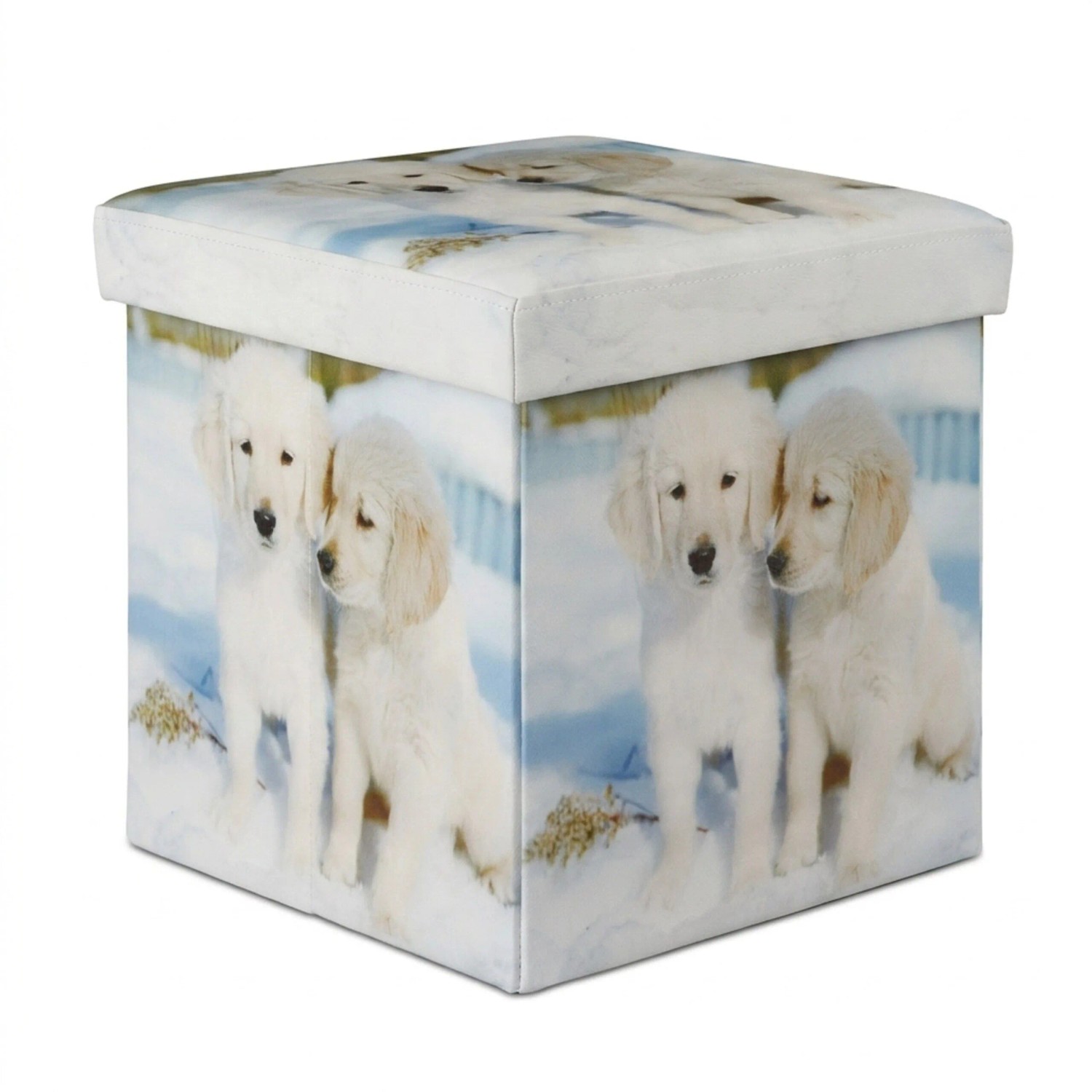 Relaxdays Sitzhocker Kunstleder Bunt Faltbar mit Stauraum 38 cm x 38 cm x 38 cm 2,9 kg