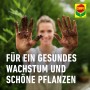 Frau zeigt Hände mit Erde, Compo Bio Anzucht- und Kräutererde torffrei für gesundes Wachstum.