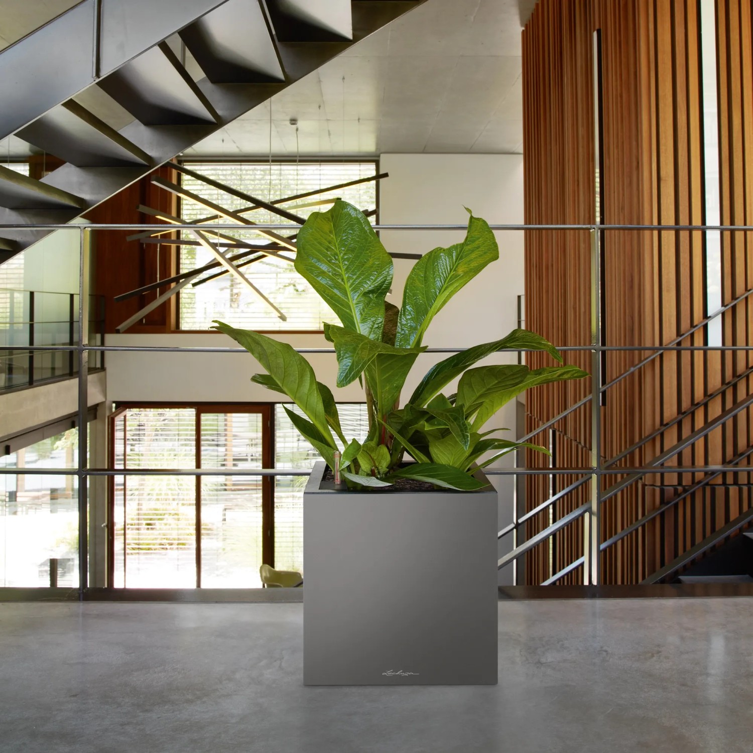 Lechuza Canto Premium low Pflanzgefäß, Athrazit Metallic, 40x40 cm, mit grüner Pflanze im modernen Interieur.