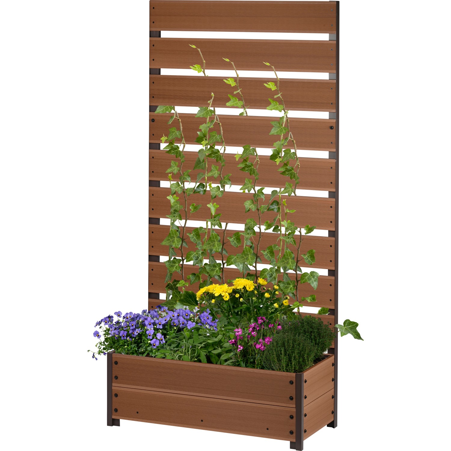Dobar Pflanzbeet mit Rankgitter aus WPC 137 cm x 72 cm x 33 cm Teak günstig online kaufen