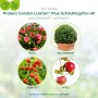 Anwendungsbereiche von Protect Garden Lizetan Plus Schädlingsfrei AF: Rose, Buchsbaum, Tomate, Apfel.