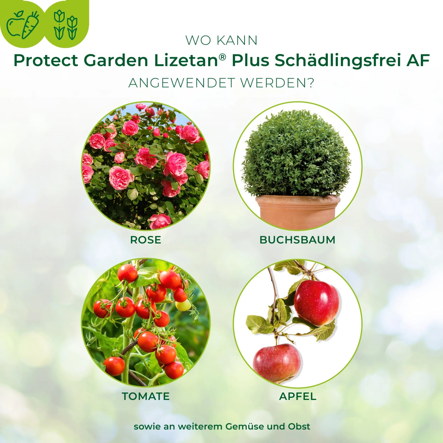 Anwendungsbereiche von Protect Garden Lizetan Plus Schädlingsfrei AF: Rose, Buchsbaum, Tomate, Apfel.