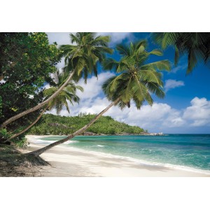 Komar Fototapete Tropical Sea: Traumstrand mit Palmen und türkisblauem Meer.